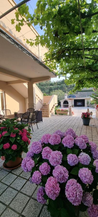 Apartman Anka Palit Екстер'єр фото